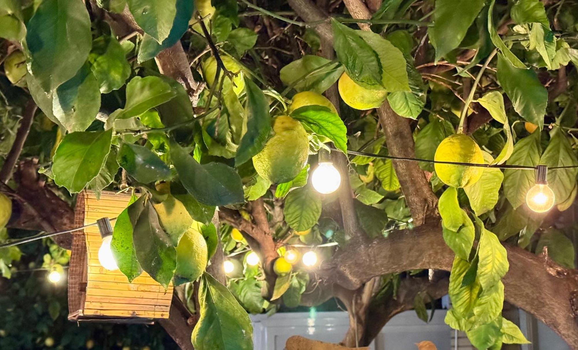 钱皮诺 Fil Rouge酒店 外观 照片
